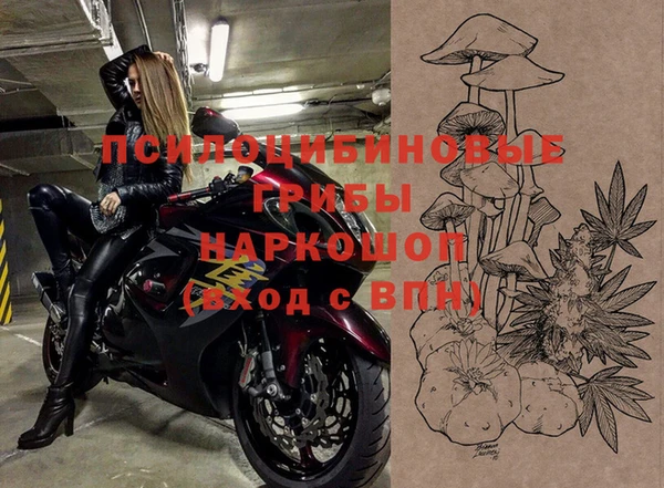 мдпв Навашино