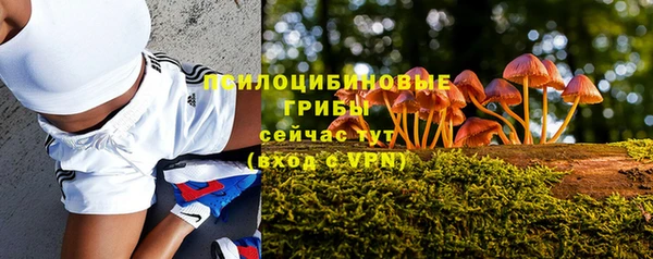 соль курить ск Наволоки