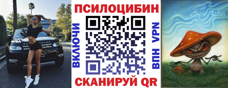 Псилоцибиновые грибы ЛСД  Купить закладки  Ельня 